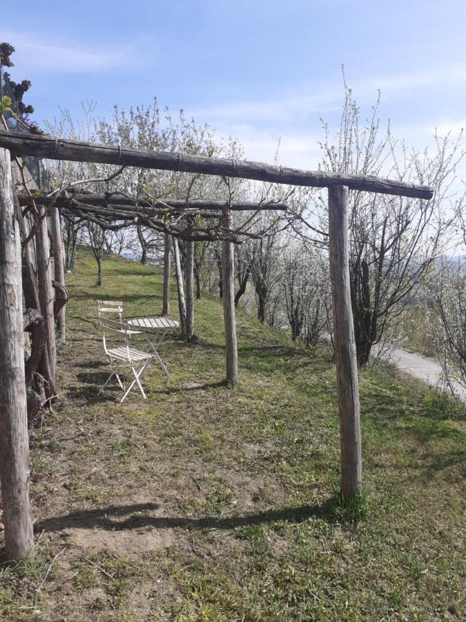 Casa Dusat In Accogliente Edificio Nel Centro Di Monforte Monforte dʼAlba Dış mekan fotoğraf